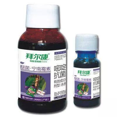 盆景花卉常見(jiàn)殺菌劑與植物增效劑的優(yōu)劣性對(duì)比與應(yīng)用指南